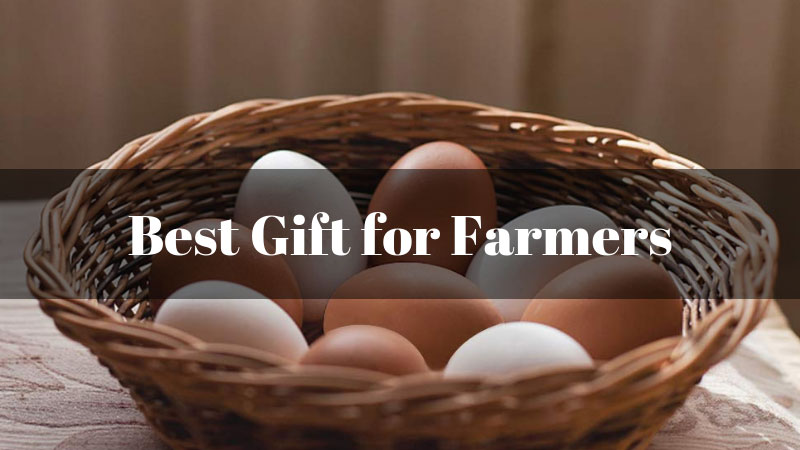 7 Best Gift for Farmers in 2020 [Practical Gift Ideas]